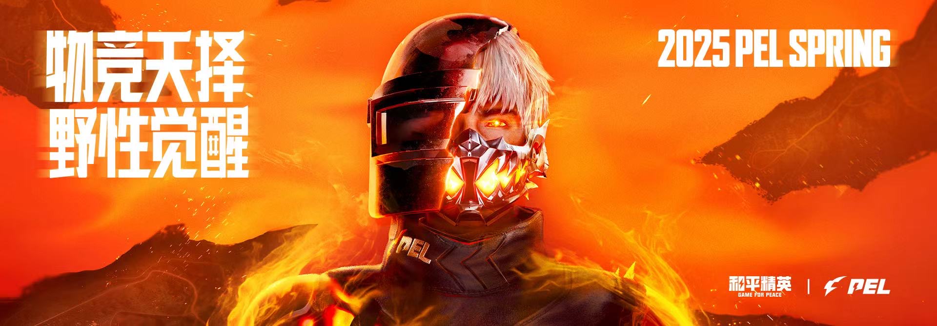 和平【涂山红红】辅助轻便直装工具，重现丝滑畅快体验